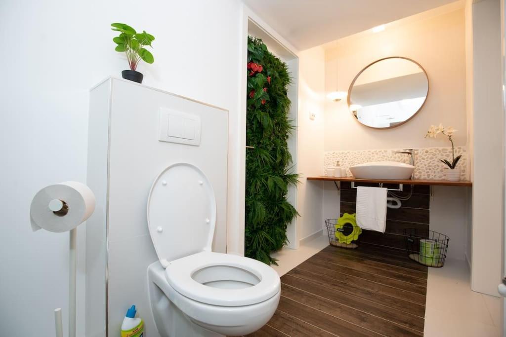 E-House Apartment Brasov Noua Exteriér fotografie